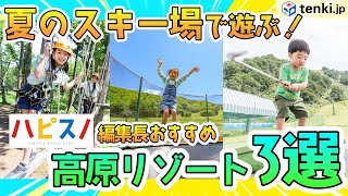 【夏のスキー場で遊ぶ】親子夏旅におすすめ！アクティビティを楽しむ高原リゾート3選〈ハピスノ〉#PR