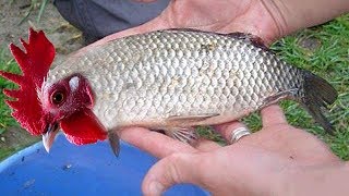 10 Unusual Creatures You Won't Believe Exist