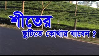 শীতের ছুটিতে কোথায় যাবেন || চলে আসুন কমলগঞ্জ, শ্রীমঙ্গল, মৌলভীবাজার।