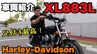 【Harley-Davidson】人気シリーズXL883L‼️車両紹介‼️