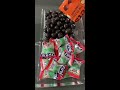 filling platter with sweets candies asmr teamfilger