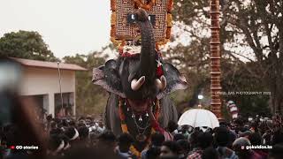 ഭഗവതിയെ തൊഴുത് വണങ്ങി വിനായകൻ   | Random shots | GOKUL DAS PHOTOGRAPHY