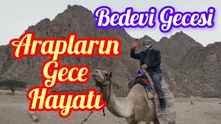 BEDEVİ GECESİ ARAPLARIN GECE HAYATI MISIR