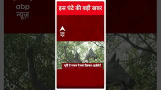 TOP News: देखिए 12 बजे तक की बड़ी खबरें | Breaking News | Top Headlines