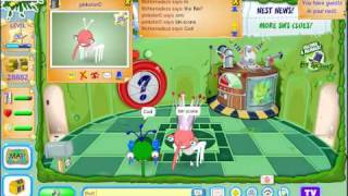 Binweevils I interview pinkster0