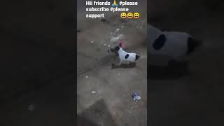 #fun with 🥰 #puppy's( ప్లీజ్ #Like చెయ్యండి