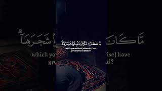 وَلُوطًا إِذْ قَالَ لِقَوْمِهِ أَتَأْتُونَ الْفَاحِشَةَ وَأَنْتُمْ تُبْصِرُونَ (54)