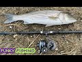 Surf Fishing The NorthShore: Morning Striper On a SP Minnow