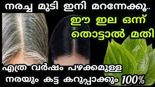 നരച്ച മുടി ഇനി മറന്നേക്കൂ||ഈ ഇല മാത്രം മതി എത്ര വർഷം പഴക്കമുള്ള നരയും കട്ട കറുപ്പായി മാറും