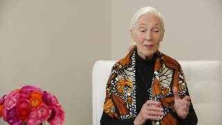 Jane Goodall: \