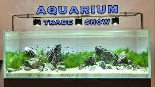 Aqua Telford 2017