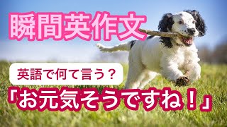 瞬間英作文６２　久しぶりに会った時の英会話　食事の支払いや、ちょっと質問がある時の英語