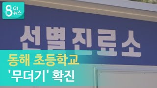 [G1뉴스] 동해 초등학교 '무더기' 확진