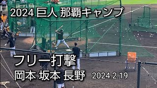 読売ジャイアンツ(巨人軍) 那覇キャンプ 2024.2.19  / フリー打撃 岡本 坂本 長野 [takaren 2024/2/19]