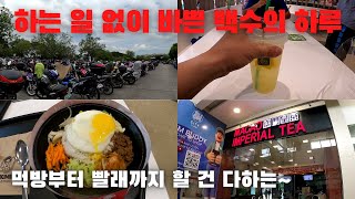 하는 일 없이 바쁜 한국 남자의 필리핀 라이프