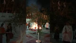 枚岡神社の祈祷木焼納祭〜続