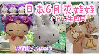 日本夾娃娃｜Miffy生日月｜2024年6月下旬最新景品｜超巨型Kuromi公仔！？