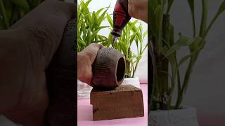 How to make a coconut shell light, Easy To Make -Diy #shorts #shortsfeed #diy
