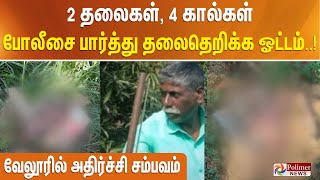 2 தலைகள், 4 கால்கள்... போலீசை பார்த்து தலைதெறிக்க ஓட்டம் - வேலூரில் அதிர்ச்சி சம்பவம்