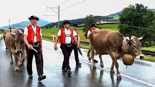 Öberefahre Appenzell Schweiz | Alpabfahrten Brülisau - Steinegg - Appenzell - Gontenbad - Gonten