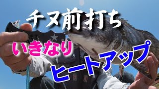 チヌ前打ち「いきなりヒートUP」!vf