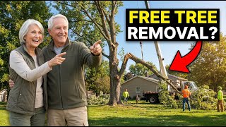 11 Tips On Free Tree Removal For Seniors