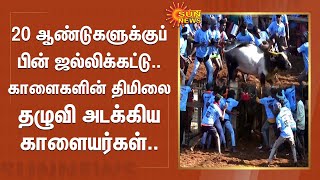 20 ஆண்டுகளுக்குப் பின் Jallikattu.. காளைகளின் திமிலை தழுவி அடக்கிய காளையர்கள்.. | Madurai | Sun News