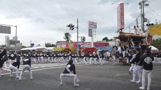 平成２８年度　岸和田だんじり祭り