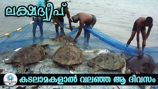 ഹലാക്ക് വലയും കടലാമകളും | Lakshadweep Fishing Video | Wildlife Awareness Video