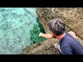 Primitive Fishing! Handline Rock Fishing, mancing diatas batu saat hujan