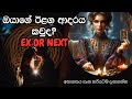 ඔයාගේ ඊළග ආදරය කවුද? Ex or Next 🤔💔✨ Sinhala Tarot Predictions