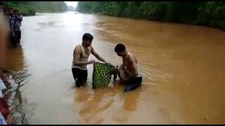 A man is dead in kanaloi irrigation,chhendipada,angul