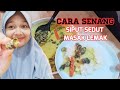 Resepi Siput Sedut Masak Lemak. Senang Je!!