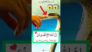 Raat ko Sone Se Pahle Quran ki Chhoti si aayat 3 Martaba Padhe#viralshorts #viralvideo