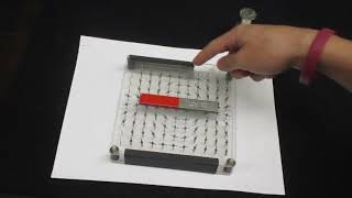 5G20.30 Magnetic Domains (Array of Arrows) [Instructor Video]