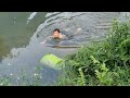 12 Year Old Orphan Boy - Harvesting Oysters Goes to the market sell - Cooking