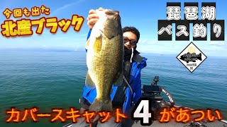 【琵琶湖バス釣りvol.72】カバースキャット4インチ