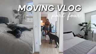 MOVING VLOG 04: new ikea mirror, more organizing and target haul!