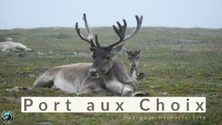 Port aux Choix National History Site | Newfoundland | Canada