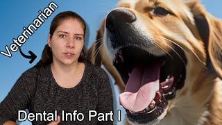 Dental Disease Demystified - How It Forms | Vet Explains