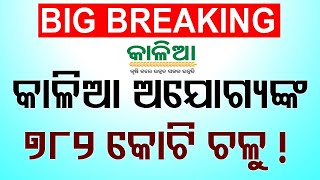 Rs 782.26 Crore Disbursed to 12.72 Lakh Ineligible KALIA Beneficiaries in Odisha: CAG Report