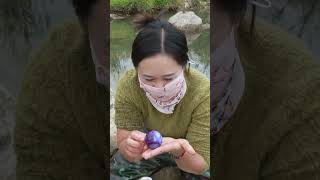 😱🎁Giant clams, oversized purple pearls