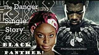 Chimamanda Ngozi Adichie's 'The Danger of a Single Story' & Black Panther | African Literature