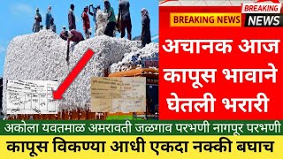 अचानक आज कापूस भावाने घेतली भरारी| kapus bhav today live| kapus bajar bhav today|