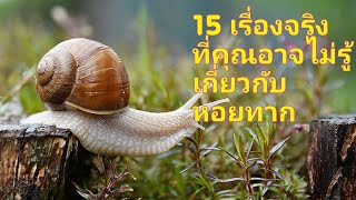 15 เรื่องจริงที่คุณอาจไม่รู้เกี่ยวกับ \