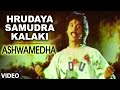 Hrudaya Samudra Kalaki Video Song I Ashwamedha I Kumar Bangarappa, Srividya