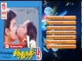 Tamil Old Hit Songs | Sindhunathi Poo Movie Full Songs | Jukebox