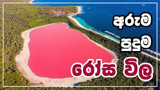 අරුම පුදුම රෝස විල (Hillier Pink Lake)