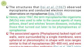 Phytoplasma and Spiroplasma... #biology #plantsciences #pathology #pathologylectures