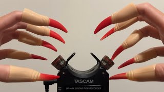 ASMR Tascam Mic Tapping and Scratching with Witches Fingers [30 min] (Happy Halloween! 🎃)